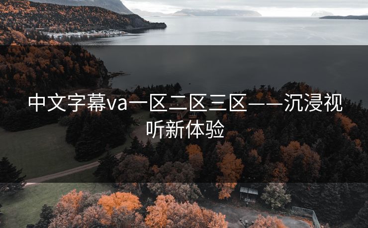 中文字幕va一区二区三区——沉浸视听新体验