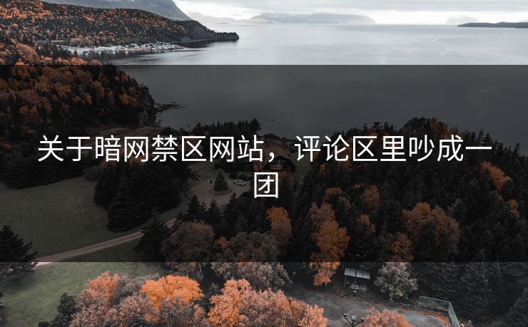 关于暗网禁区网站，评论区里吵成一团
