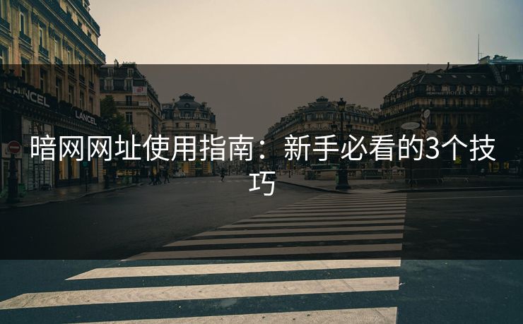暗网网址使用指南：新手必看的3个技巧