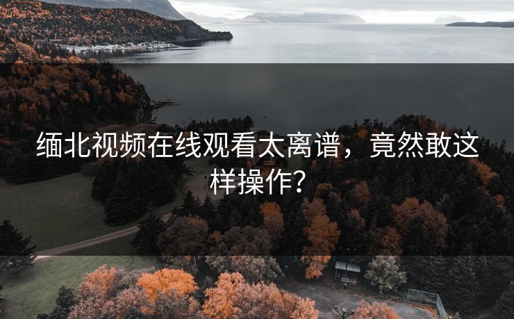 缅北视频在线观看太离谱，竟然敢这样操作？