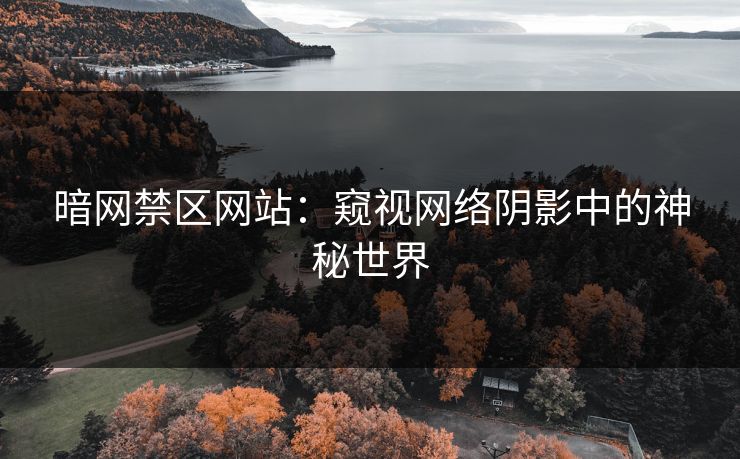 暗网禁区网站：窥视网络阴影中的神秘世界