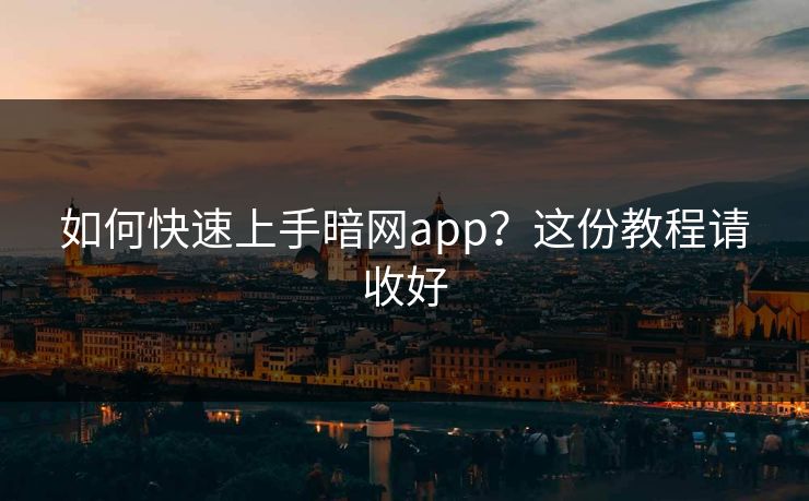 如何快速上手暗网app？这份教程请收好