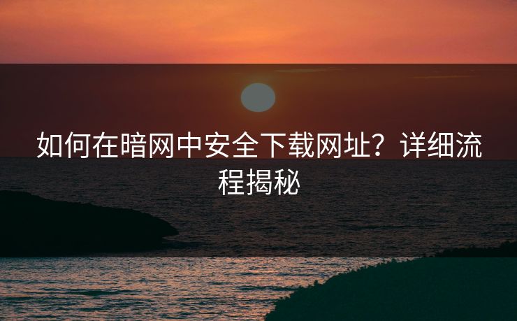 如何在暗网中安全下载网址？详细流程揭秘