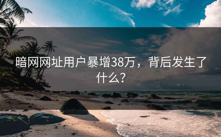 暗网网址用户暴增38万，背后发生了什么？