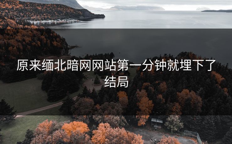 原来缅北暗网网站第一分钟就埋下了结局
