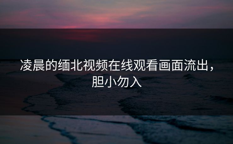 凌晨的缅北视频在线观看画面流出，胆小勿入