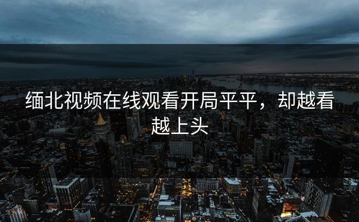 缅北视频在线观看开局平平，却越看越上头