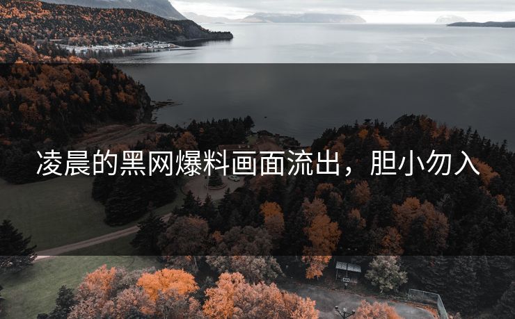 凌晨的黑网爆料画面流出，胆小勿入