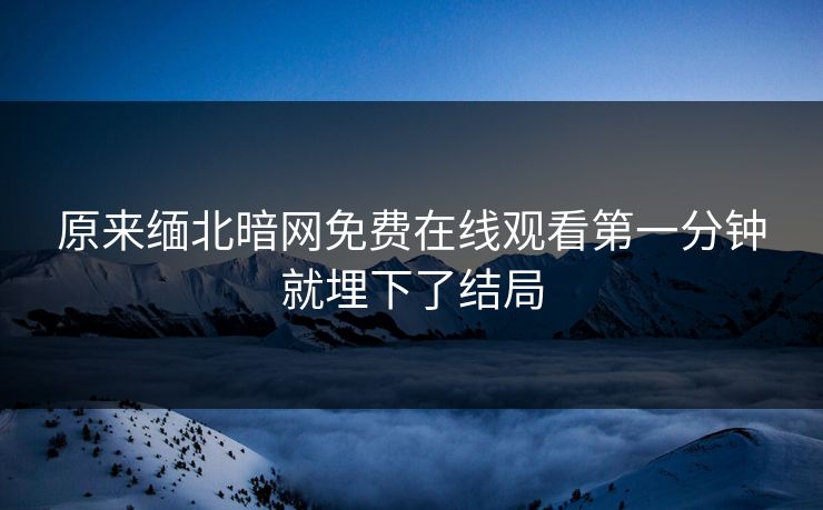 原来缅北暗网免费在线观看第一分钟就埋下了结局