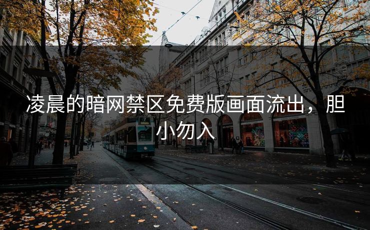 凌晨的暗网禁区免费版画面流出，胆小勿入