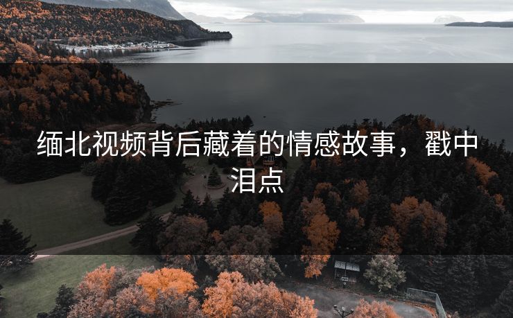 缅北视频背后藏着的情感故事，戳中泪点