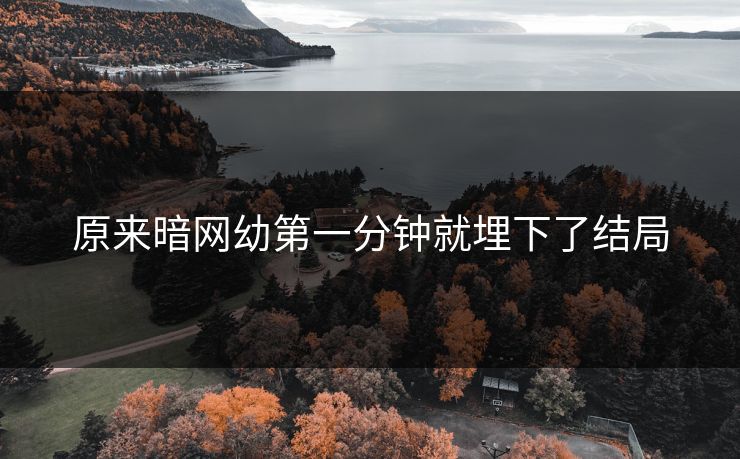 原来暗网幼第一分钟就埋下了结局