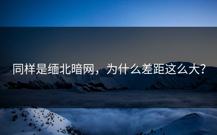 同样是缅北暗网，为什么差距这么大？