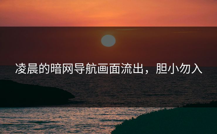 凌晨的暗网导航画面流出，胆小勿入