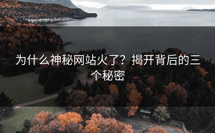 为什么神秘网站火了？揭开背后的三个秘密
