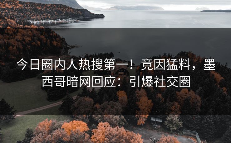 今日圈内人热搜第一！竟因猛料，墨西哥暗网回应：引爆社交圈