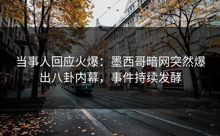 当事人回应火爆：墨西哥暗网突然爆出八卦内幕，事件持续发酵