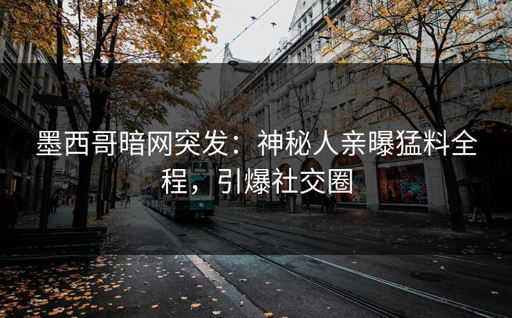 墨西哥暗网突发：神秘人亲曝猛料全程，引爆社交圈