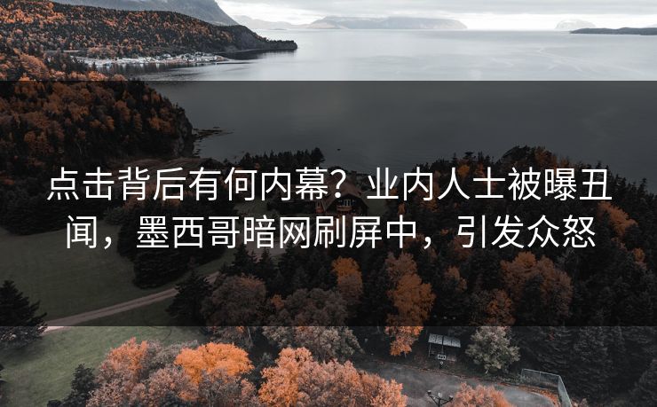 点击背后有何内幕？业内人士被曝丑闻，墨西哥暗网刷屏中，引发众怒