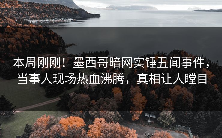 本周刚刚！墨西哥暗网实锤丑闻事件，当事人现场热血沸腾，真相让人瞠目