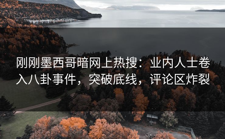刚刚墨西哥暗网上热搜：业内人士卷入八卦事件，突破底线，评论区炸裂