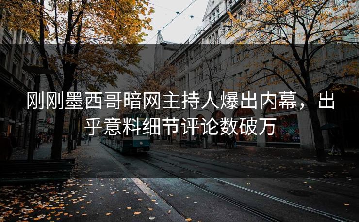 刚刚墨西哥暗网主持人爆出内幕，出乎意料细节评论数破万