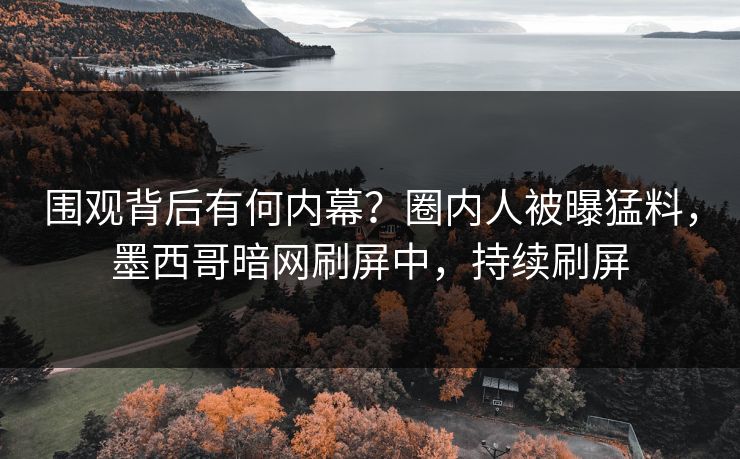 围观背后有何内幕？圈内人被曝猛料，墨西哥暗网刷屏中，持续刷屏