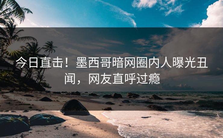 今日直击！墨西哥暗网圈内人曝光丑闻，网友直呼过瘾