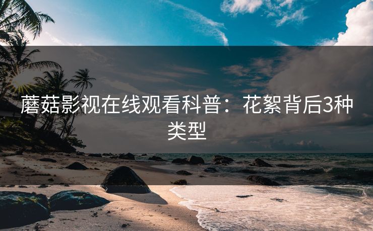 蘑菇影视在线观看科普：花絮背后3种类型