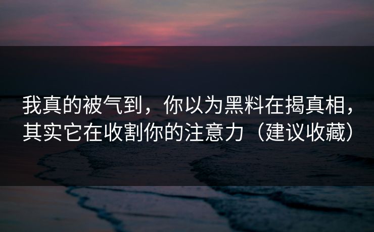 我真的被气到，你以为黑料在揭真相，其实它在收割你的注意力（建议收藏）